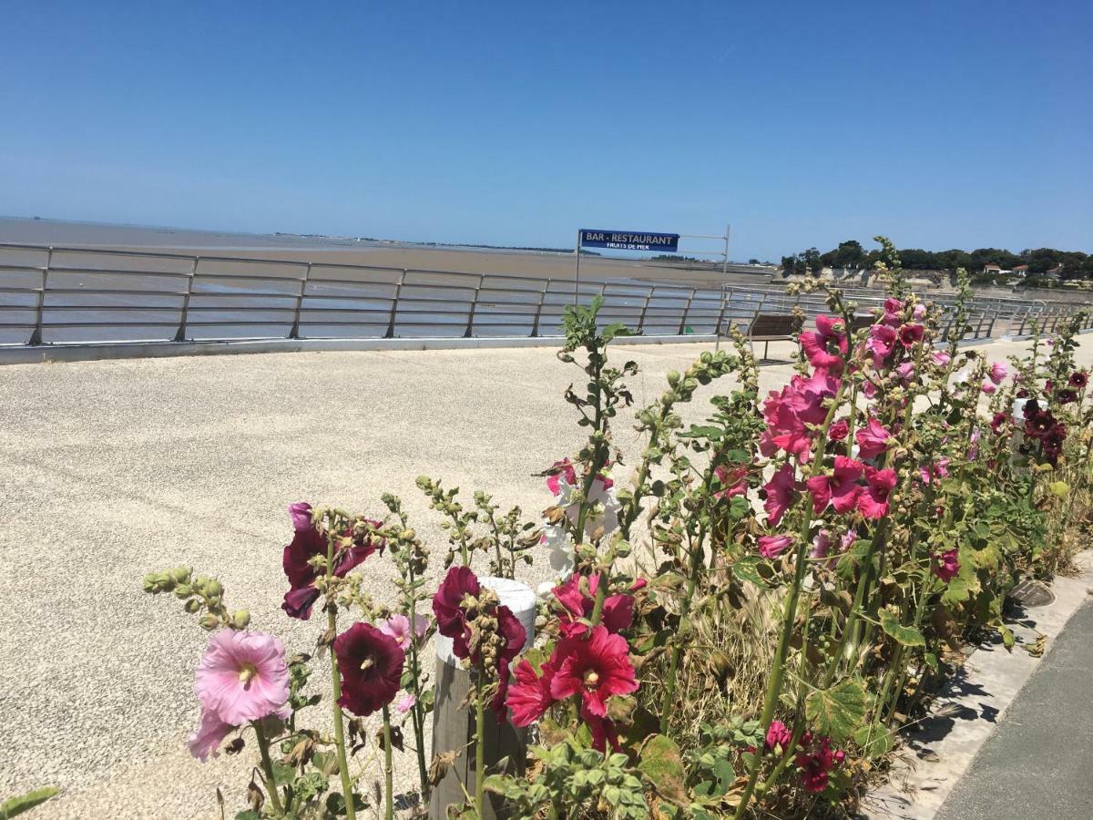 Petit Nid A 50M De La Plage Au Coeur De Fouras Buitenkant foto